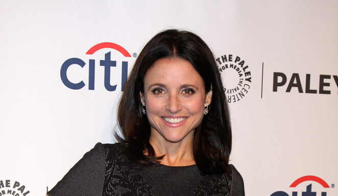 Portrait of Julia Louis Dreyfus Original Work on Paper 