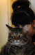A photo of writer Carrie Borzillo holding her cat