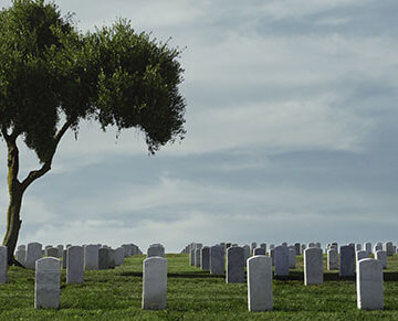A photo of a cemetery