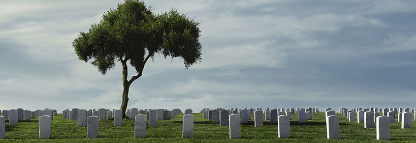 A photo of a cemetery