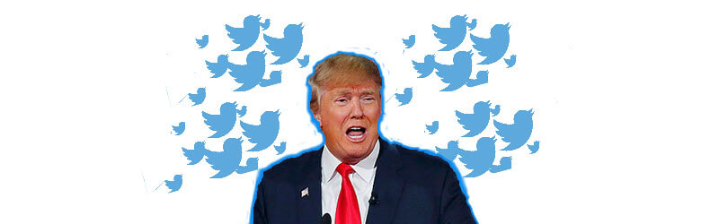 A collage of a photo of Donald Trump and Twitter birds