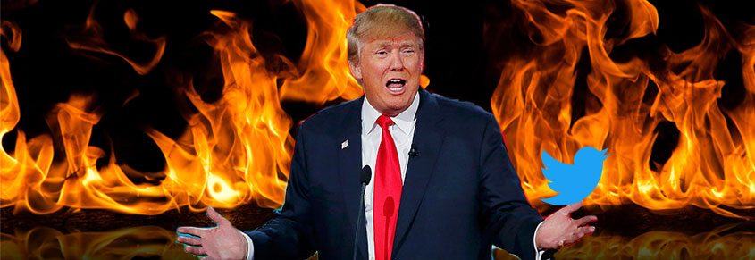 A collage of Donald Trump and a Twitter bird with flames behind him.