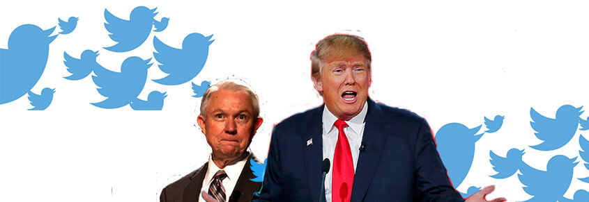 A collage of a photo of Donald Trump, Jeff Sessions and Twitter birds