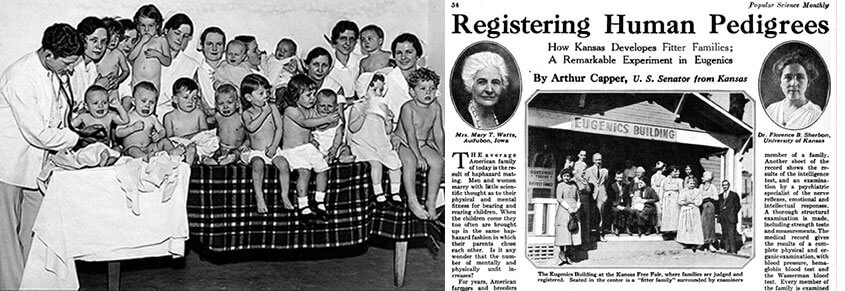 A collage of babies with some adults and a newspaper headline that says, "Registering Human Pedigrees"