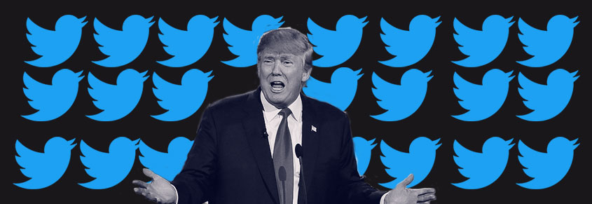 A collage of Donald Trump and Twitter birds behind him.