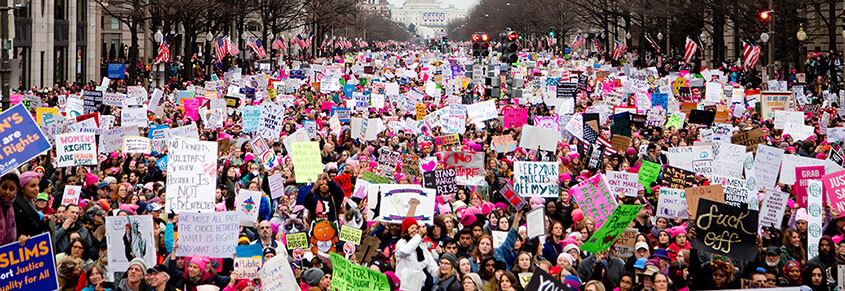 A photo from the Washington DC Women's March protest