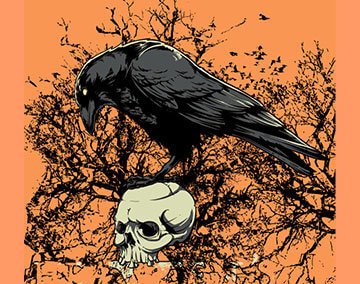 An illustration of a crow on top of a skull on the ground.