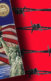 An H1-B Work Visa Application with barbed wire in the background