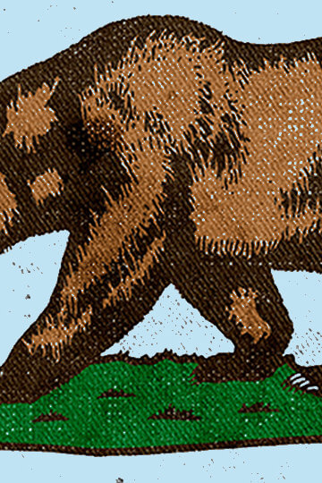 An illustration of a bear walking near a sign with a female gender symbol on it.