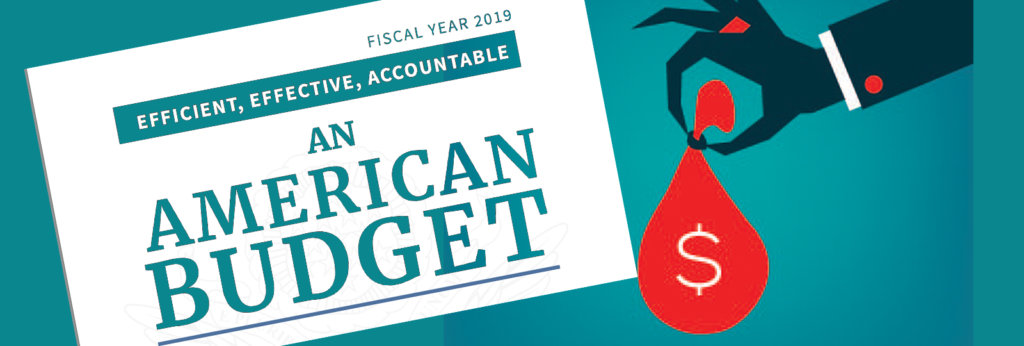 A collage of illustration of a hand holding a bag of money and a sign that says, "Fiscal Year 2019. Efficient, Effective, Accountable. An American Budget"