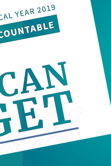 A collage of illustration of a hand holding a bag of money and a sign that says, "Fiscal Year 2019. Efficient, Effective, Accountable. An American Budget"