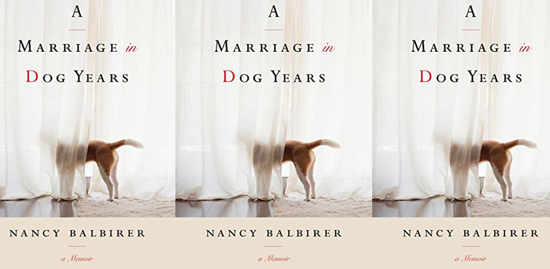 kate tuttle bookz kate tuttle bookz
