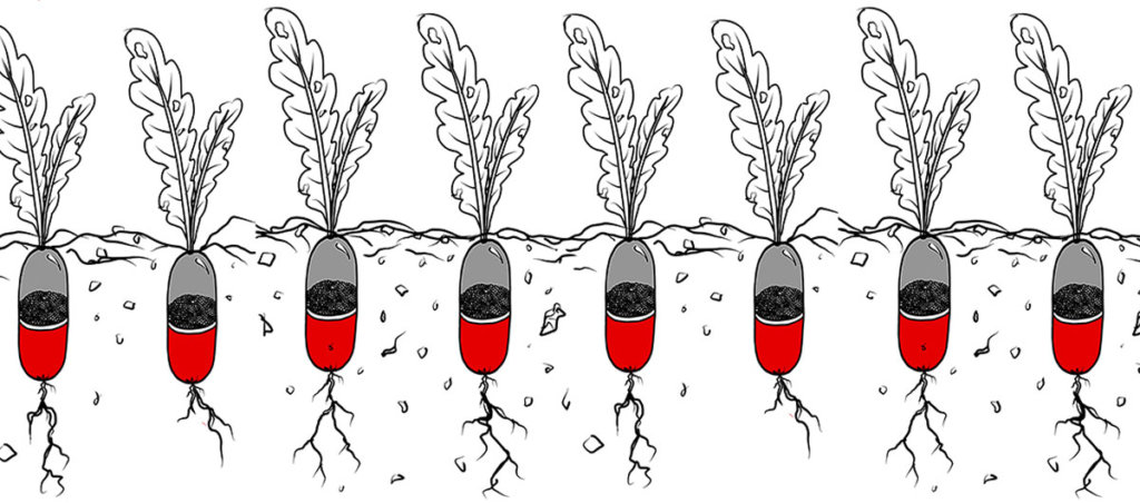 An illustration of pills underground. Plants are sprouting out of the pills.
