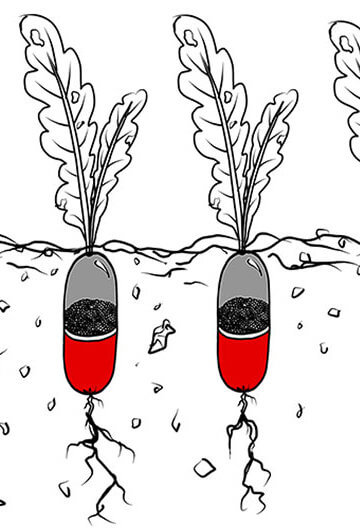 An illustration of pills underground. Plants are sprouting out of the pills.