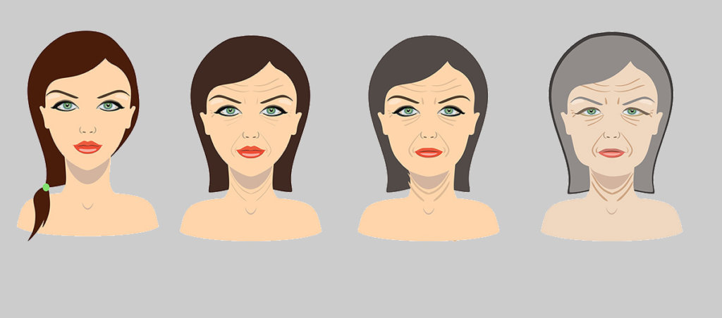 An illustration of a woman aging over time.