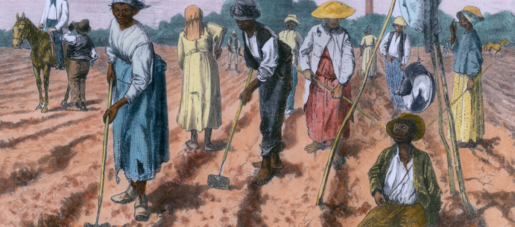 An illustration of Black slaves working in a field