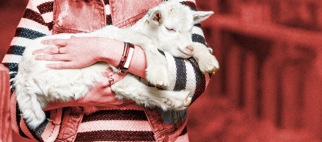 A photo of a white woman with brown hair hugging a goat.