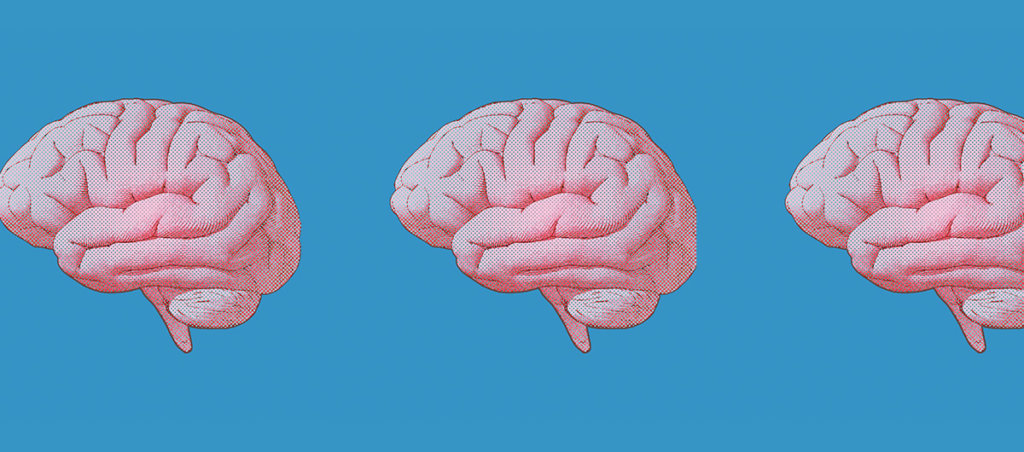 A collage of three illustrations of brains