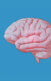 A collage of three illustrations of brains