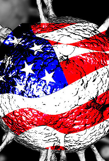 What COVID-19's ultrastructural morphology looks like covered by the American flag.