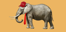 An image of an elephant wearing a "Make America Great Again" hat and a red tie.