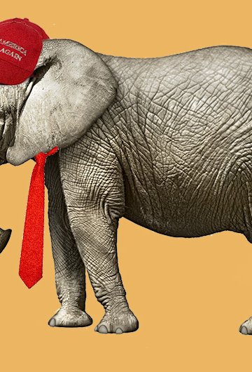 An image of an elephant wearing a "Make America Great Again" hat and a red tie.