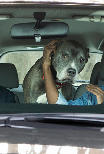 A still from the show "Ramy"