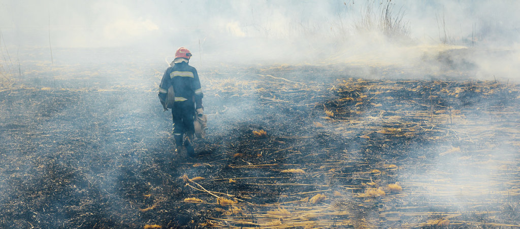 Photo of firefighter walking in burned land