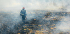 Photo of firefighter walking in burned land