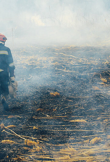 Photo of firefighter walking in burned land