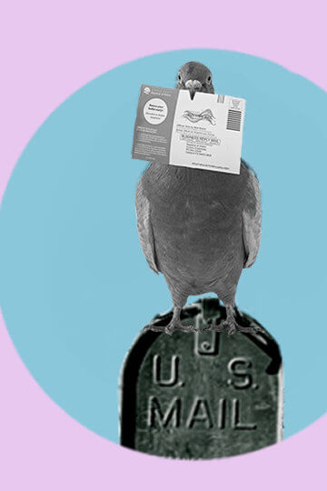 A collage of a parrot sitting on a mailbox with a piece of mail in its mouth