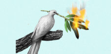 A collage of a bird holding a leaf thats on fire.