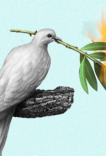 A collage of a bird holding a leaf thats on fire.