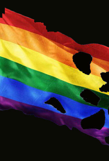 A rainbow flag being torn apart.