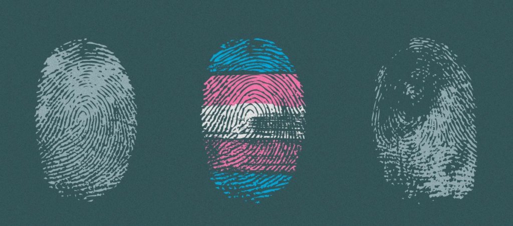 Illustration of 3 fingerprints. The center one has the trans pride flag superimposed over it.