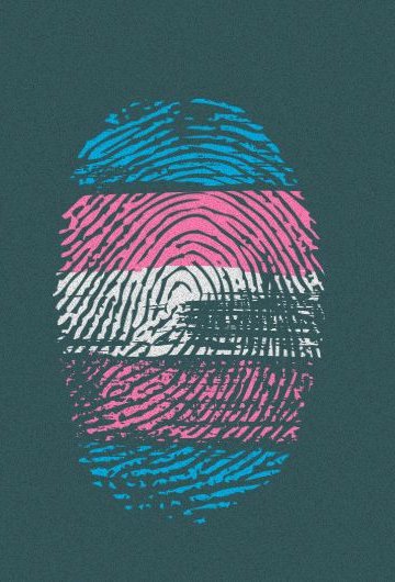 Illustration of 3 fingerprints. The center one has the trans pride flag superimposed over it.