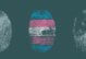 illustration of 3 fingerprints. The center one has the trans pride flag superimposed over it.