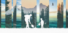 A collage of two outdoor settings with an illustration of a parent and a kid in white planting a tree.