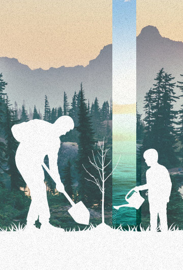A collage of two outdoor settings with an illustration of a parent and a kid in white planting a tree.
