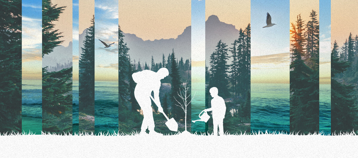 A collage of two outdoor settings with an illustration of a parent and a kid in white planting a tree.