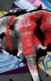 An elephant with the Republican logo on it with two Supreme court decisions in the background, as well as the trans flag and the Planned Parenthood logo.