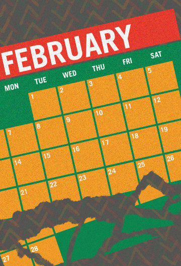 A calendar of the month February that is partially ripped apart.