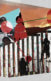 A collage of images of people climbing up a fence, a crowd of people standing side-by-side, and a field on fire in the background.