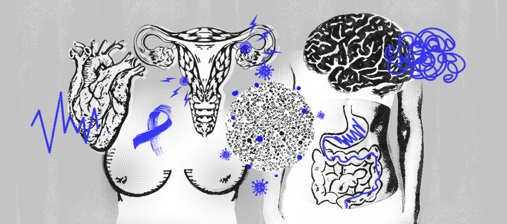 An illustration of different body parts, including breats, brain, heart and uterus.