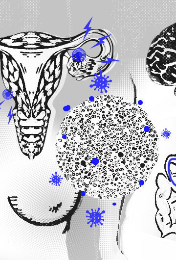 An illustration of different body parts, including breats, brain, heart and uterus.