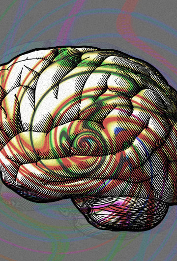 An illustration of a brain with different colors overlapping on it.