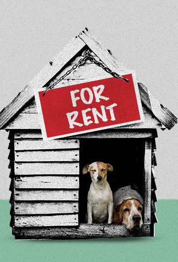 A collage of a dog house with two dogs in it with a "For Rent" sign on it.