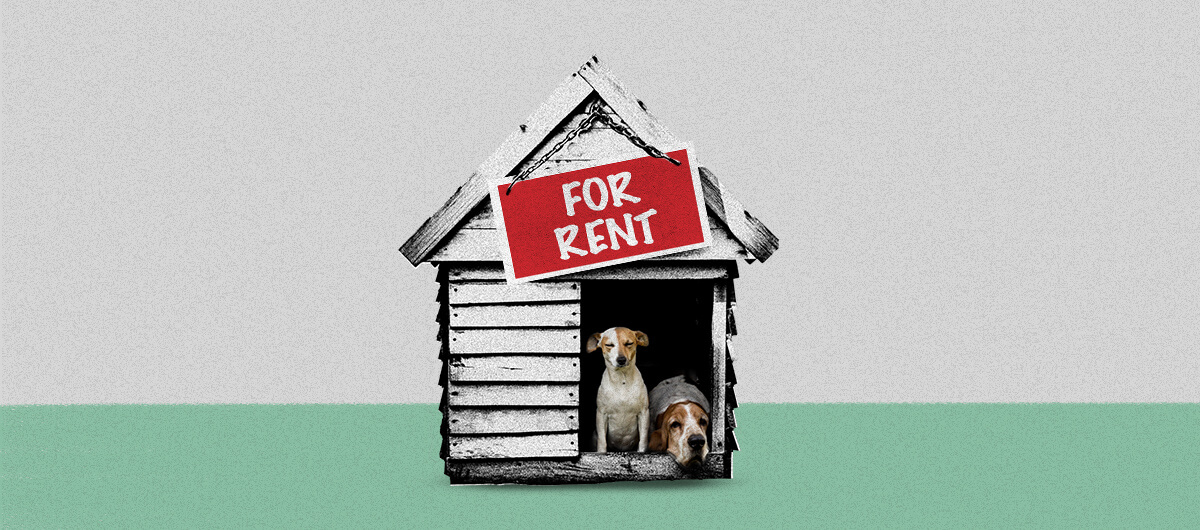 A collage of a dog house with two dogs in it with a "For Rent" sign on it.