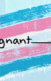A collage of the trans visibility flag with the text "Pregnant" and then a line next to it, hinting that it's for filling in the blank.