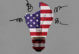 A broken lightbulb with the american flag superimposed on it. Around it are little squiggles for decoration. The background is grey.